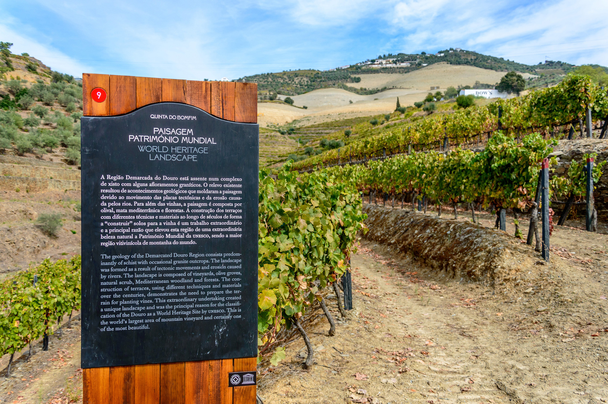 The vineyard walks are among the highlights of the visit