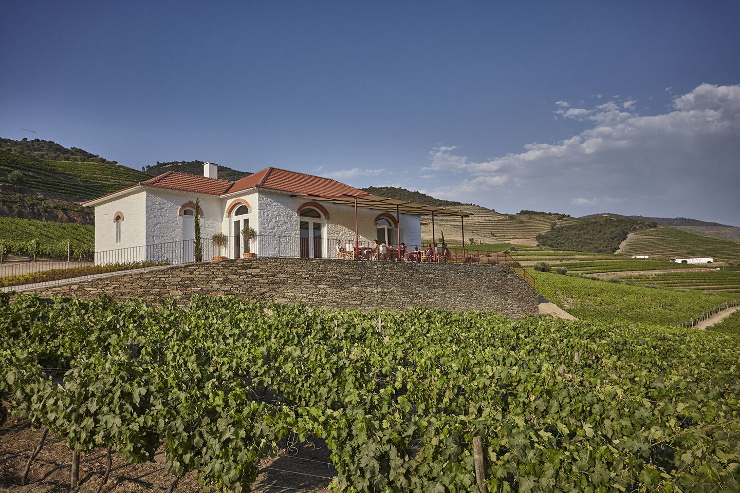 Echo House, surrounded by stunning vineyard scenery