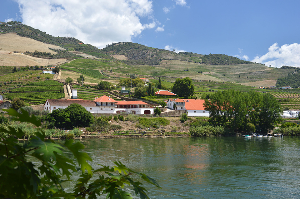 Quinta do Bomfim alongside the Douro River