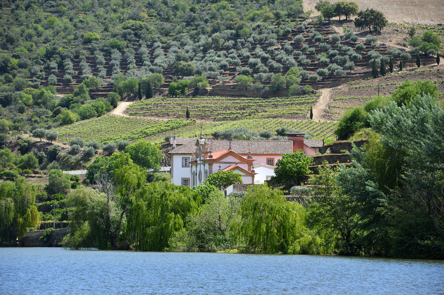 Quinta do Vesúvio