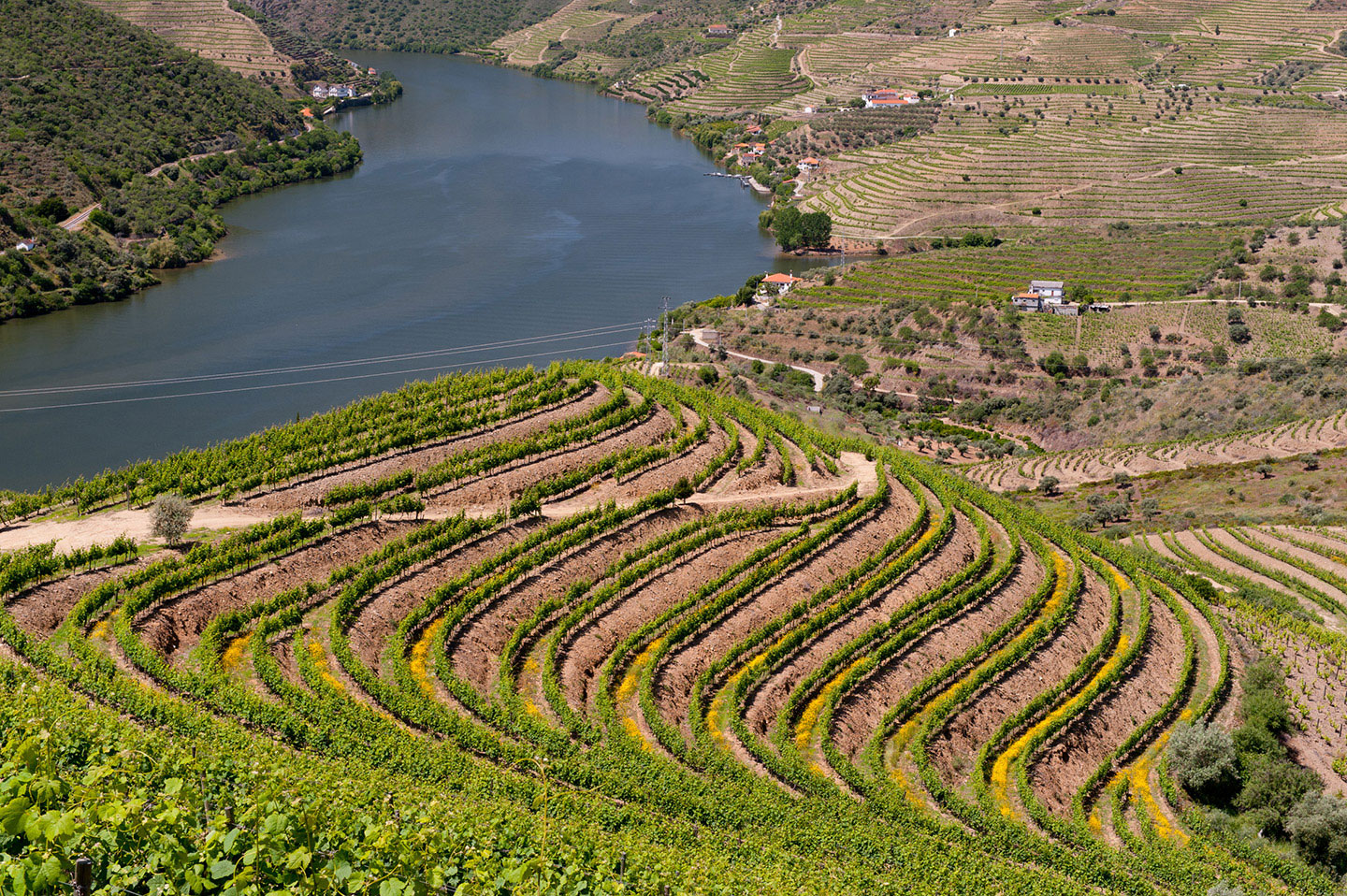 Private Family Quintas