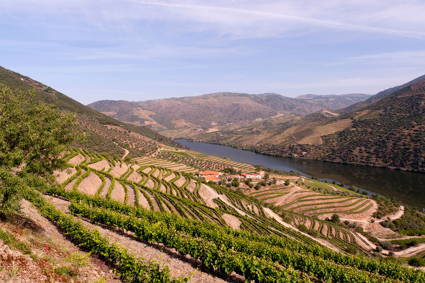 Private Family Quintas