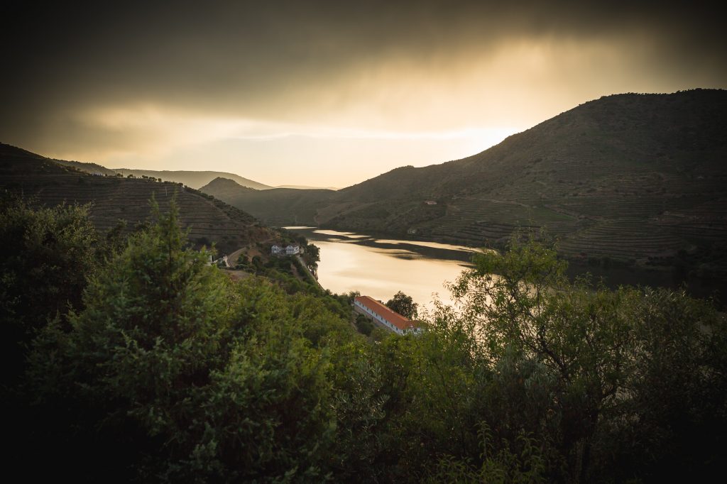 Quinta do Vesuvio (Left) & Senhora da Ribeira (Right). Photograph: Adriano Borges.